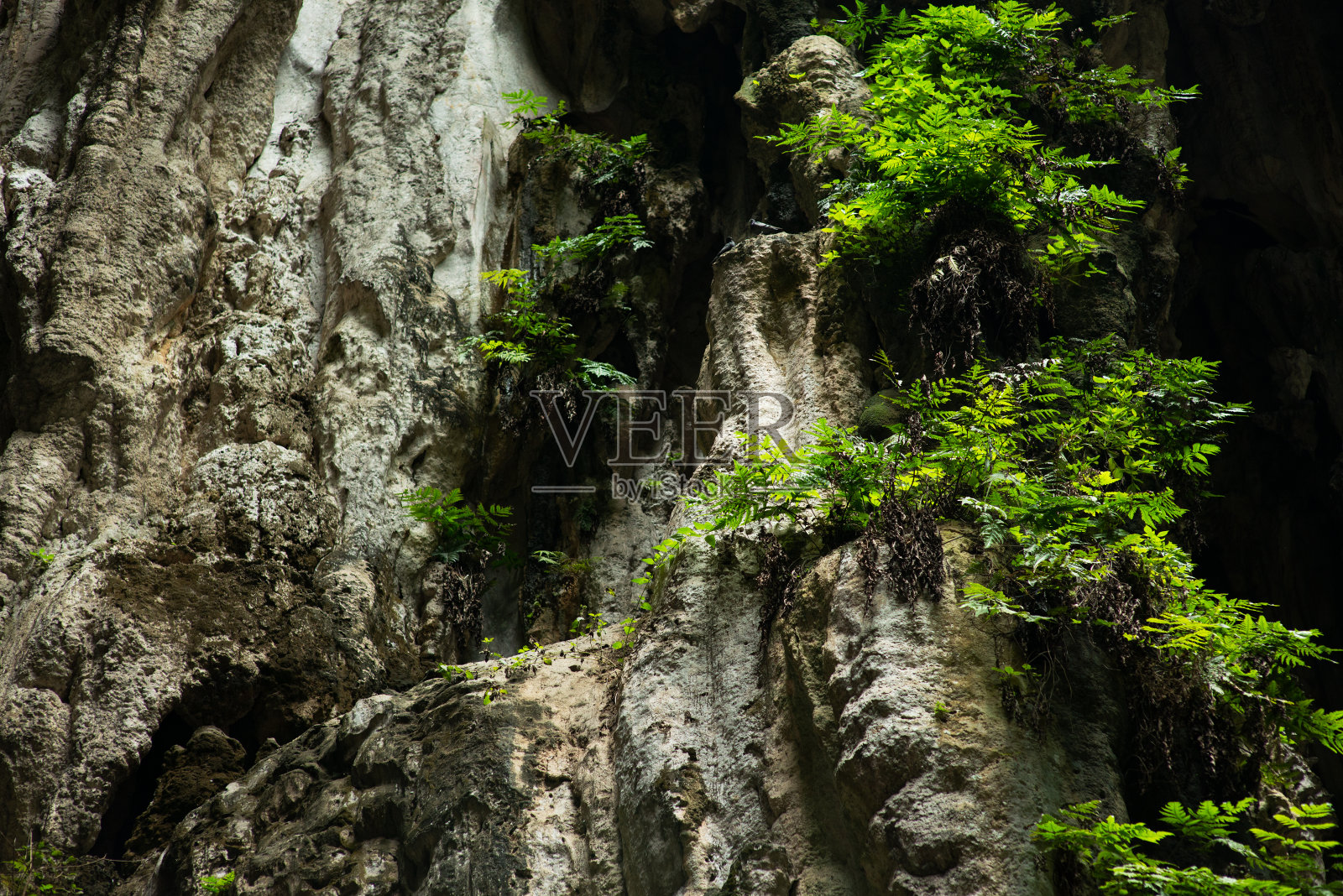 马来西亚吉隆坡的岩石洞穴。照片摄影图片