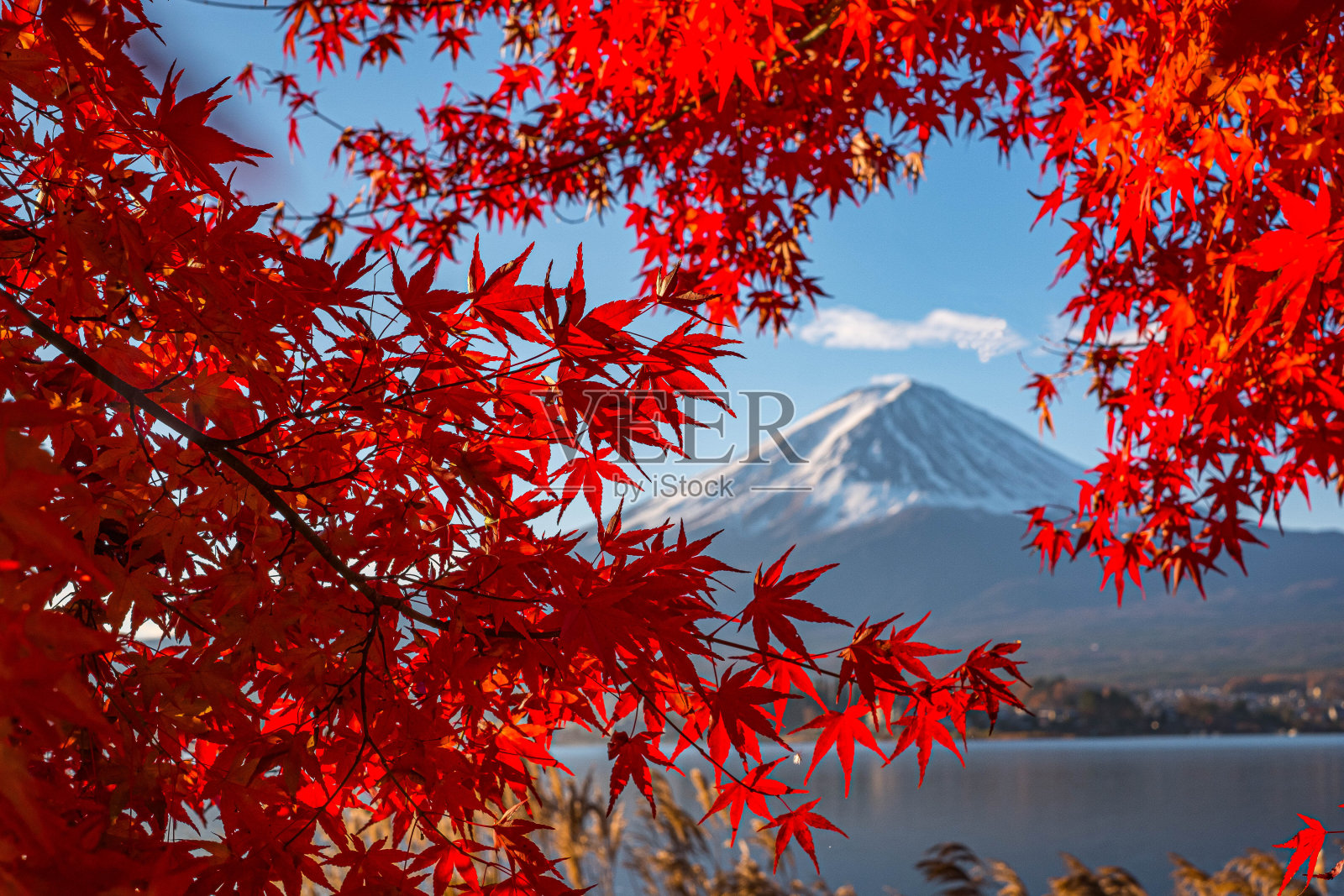 富士山的空中天际线景观，美丽的秋叶。日本的标志性山峰。富士山傍晚日落景观，川口町，山梨，日本。照片摄影图片