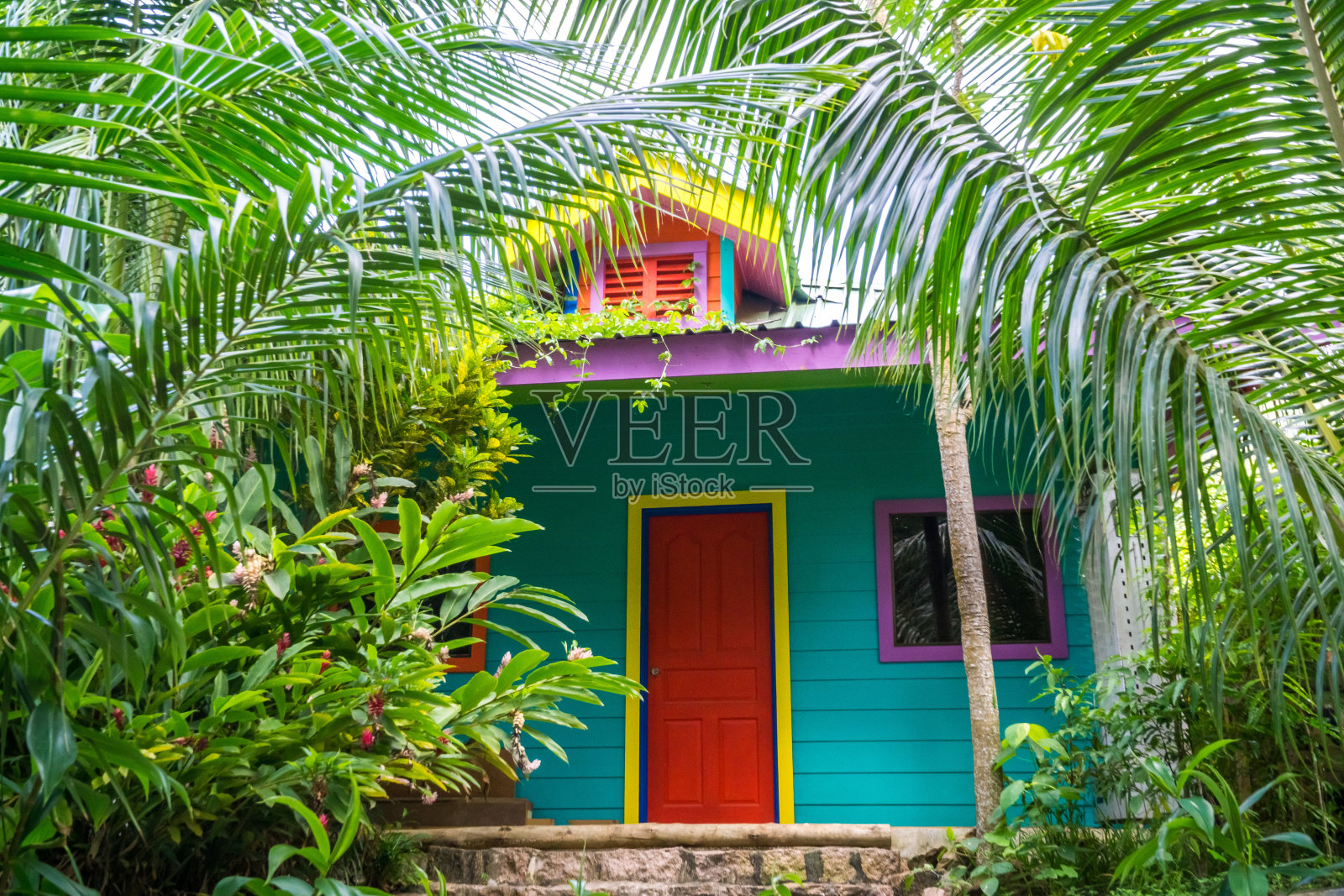 塞舌尔拉迪戈热带风情的五彩热带住宅照片摄影图片
