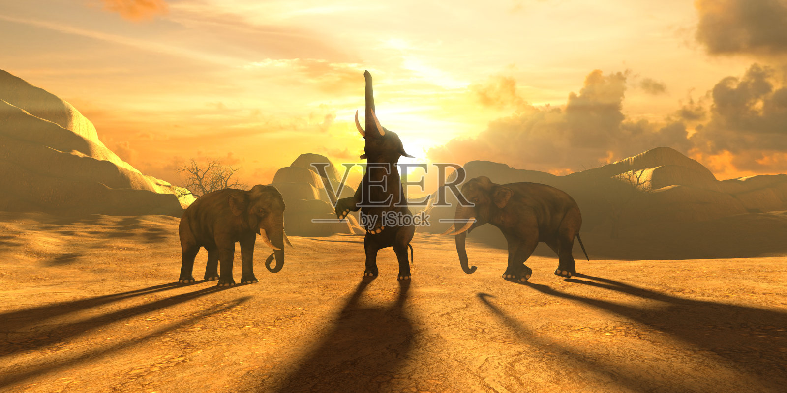大象在夕阳和美丽的黄色天空的背景上照片摄影图片