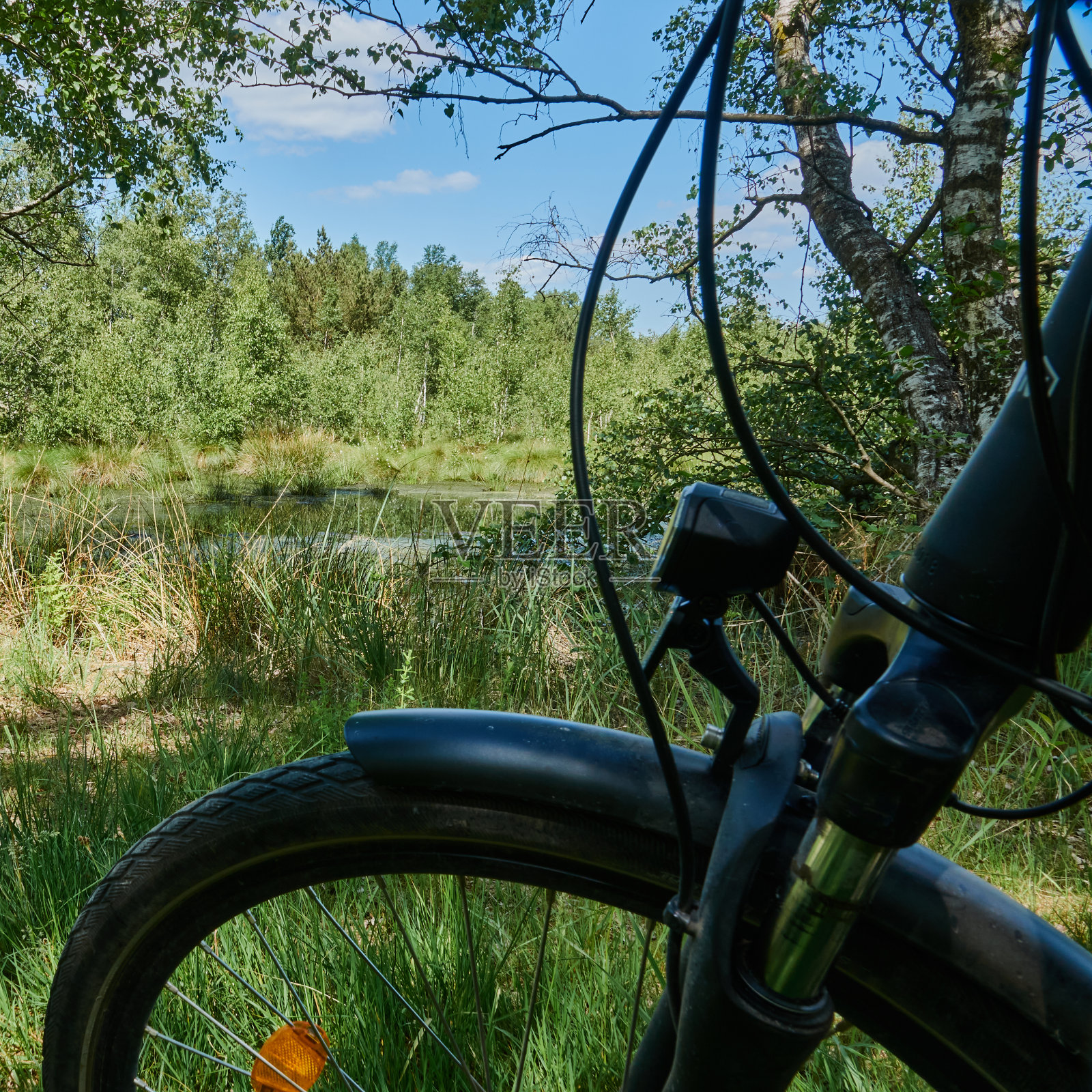 自行车前轮的一部分，概念自行车旅行通过沼泽照片摄影图片