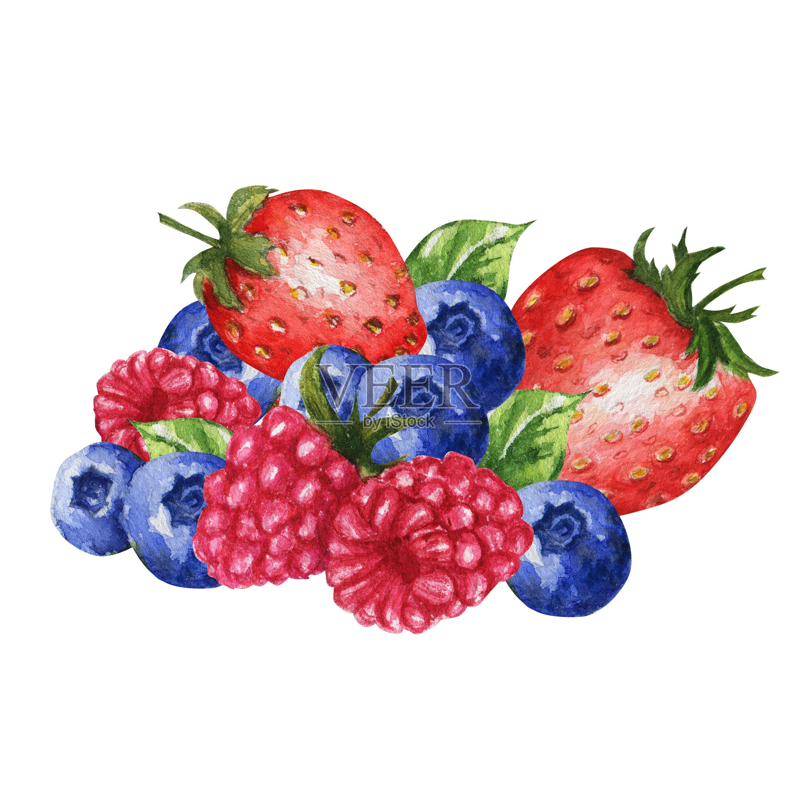 混合野生浆果，草莓，覆盆子，蓝莓孤立的白色背景。新鲜浆果水果收集。缤纷夏日健康食品理念。插画图片素材