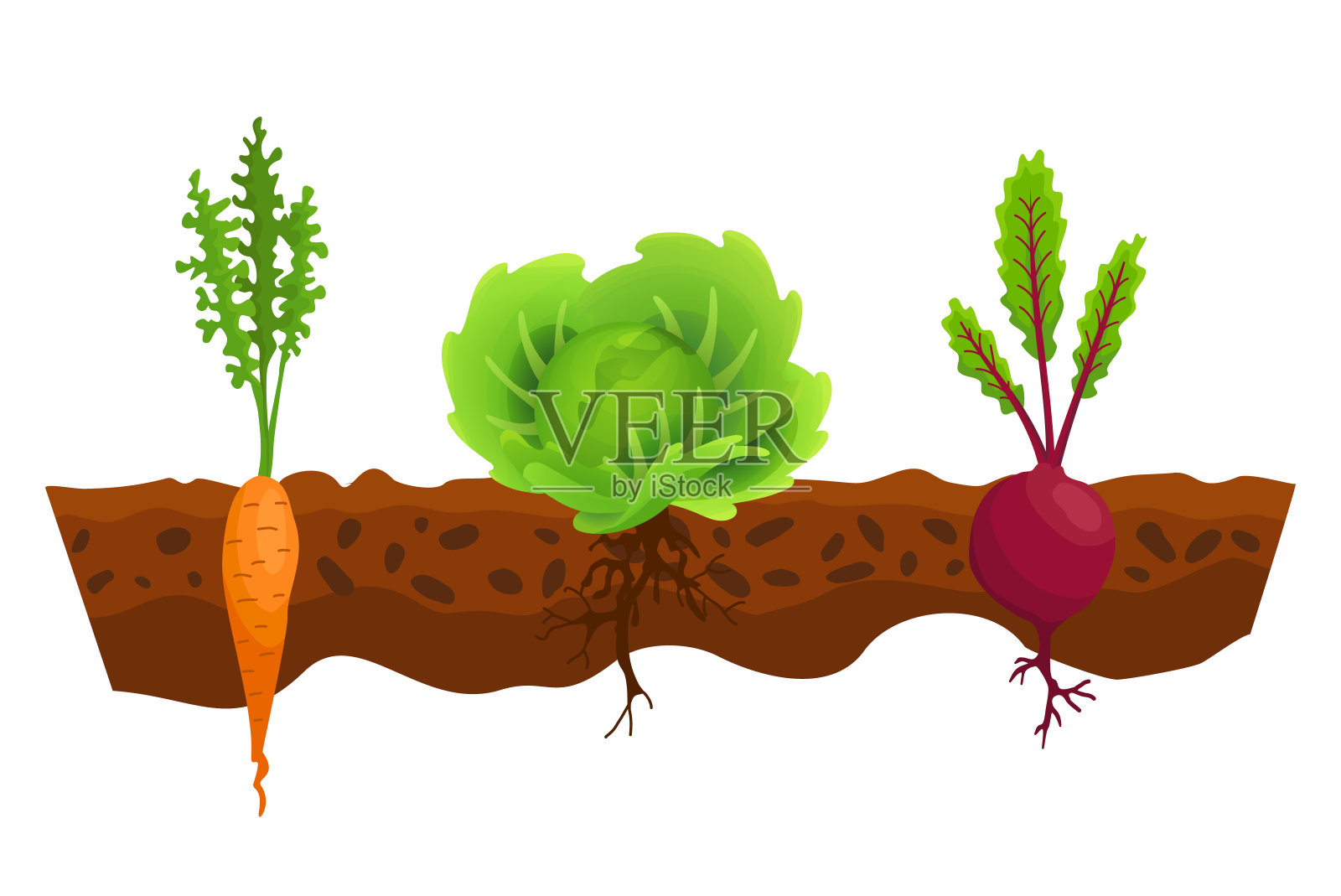 设置图标胡萝卜生长在土壤蔬菜插画图片素材_ID:407143322-Veer图库