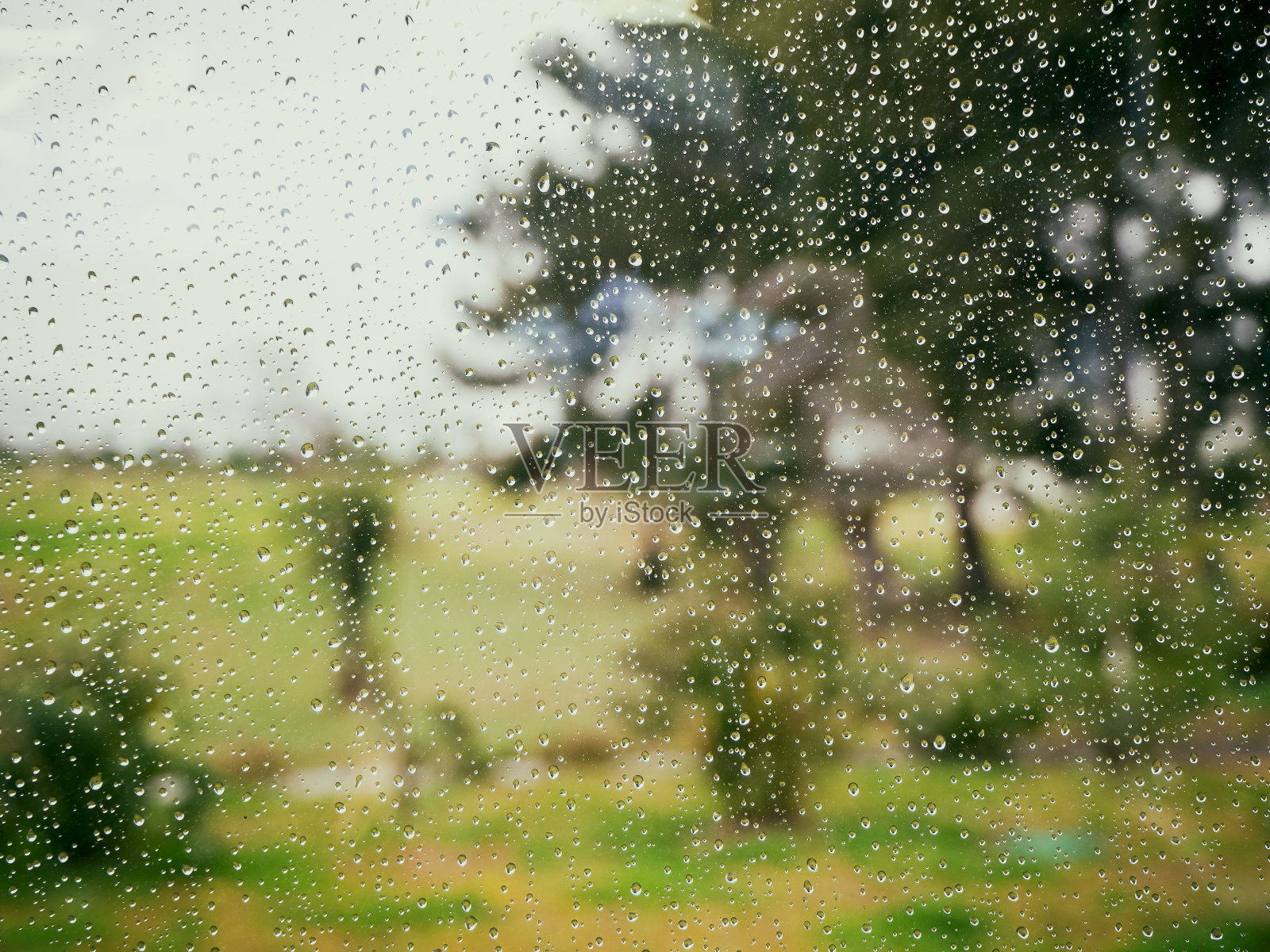 透过湿玻璃观看绿色草坪和树木照片摄影图片