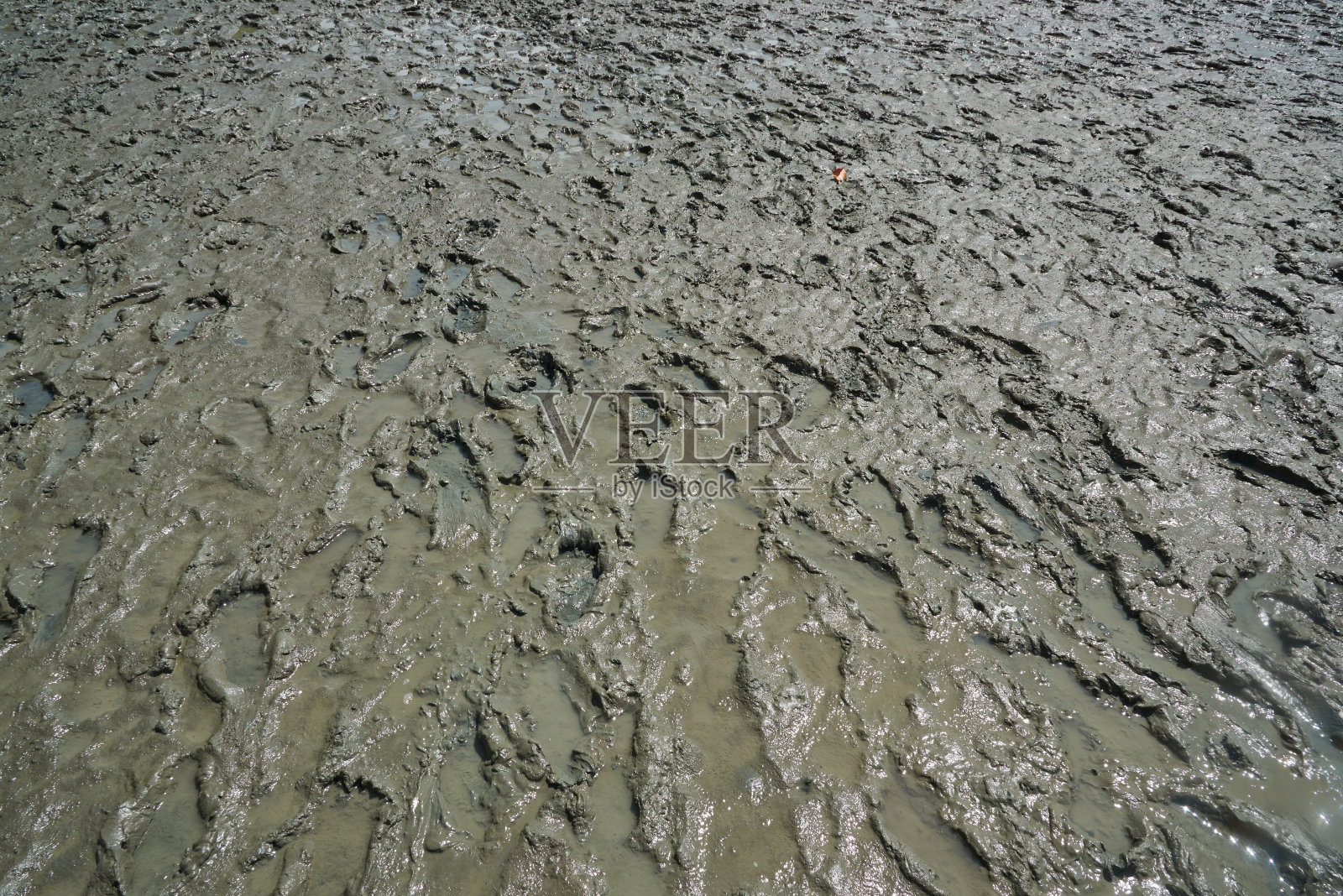 泥上脚印的纹理照片摄影图片