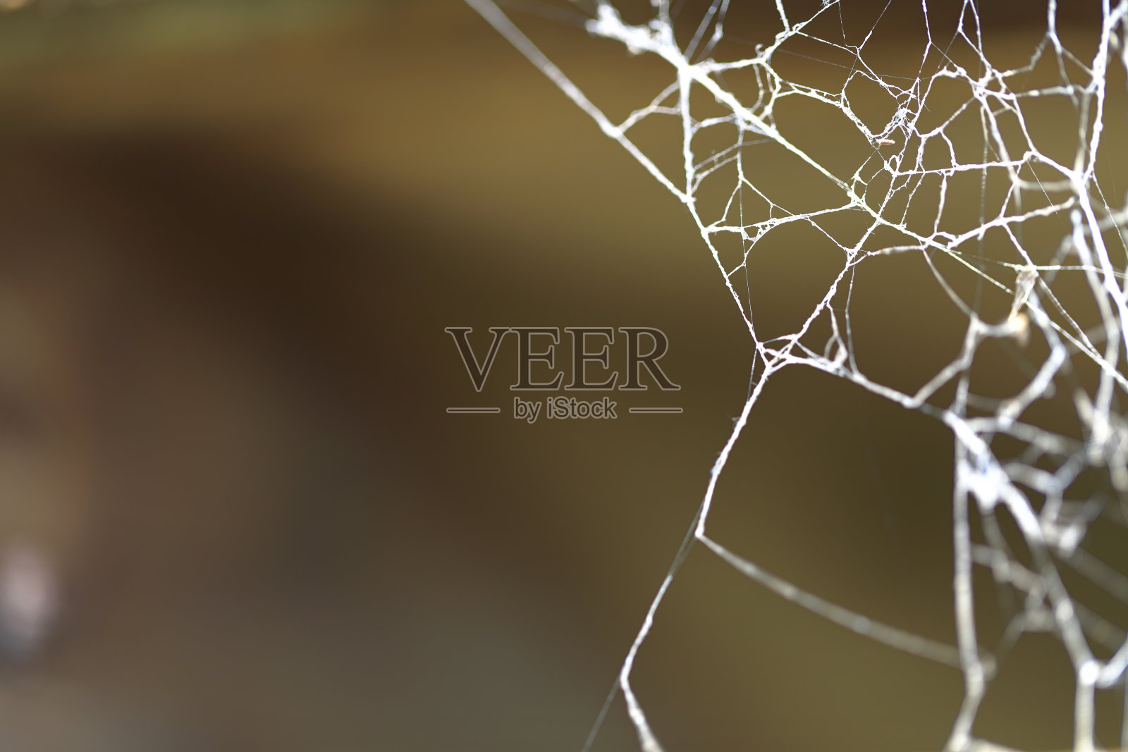 蜘蛛网，棕色，肮脏，抽象，纠结，废弃照片摄影图片