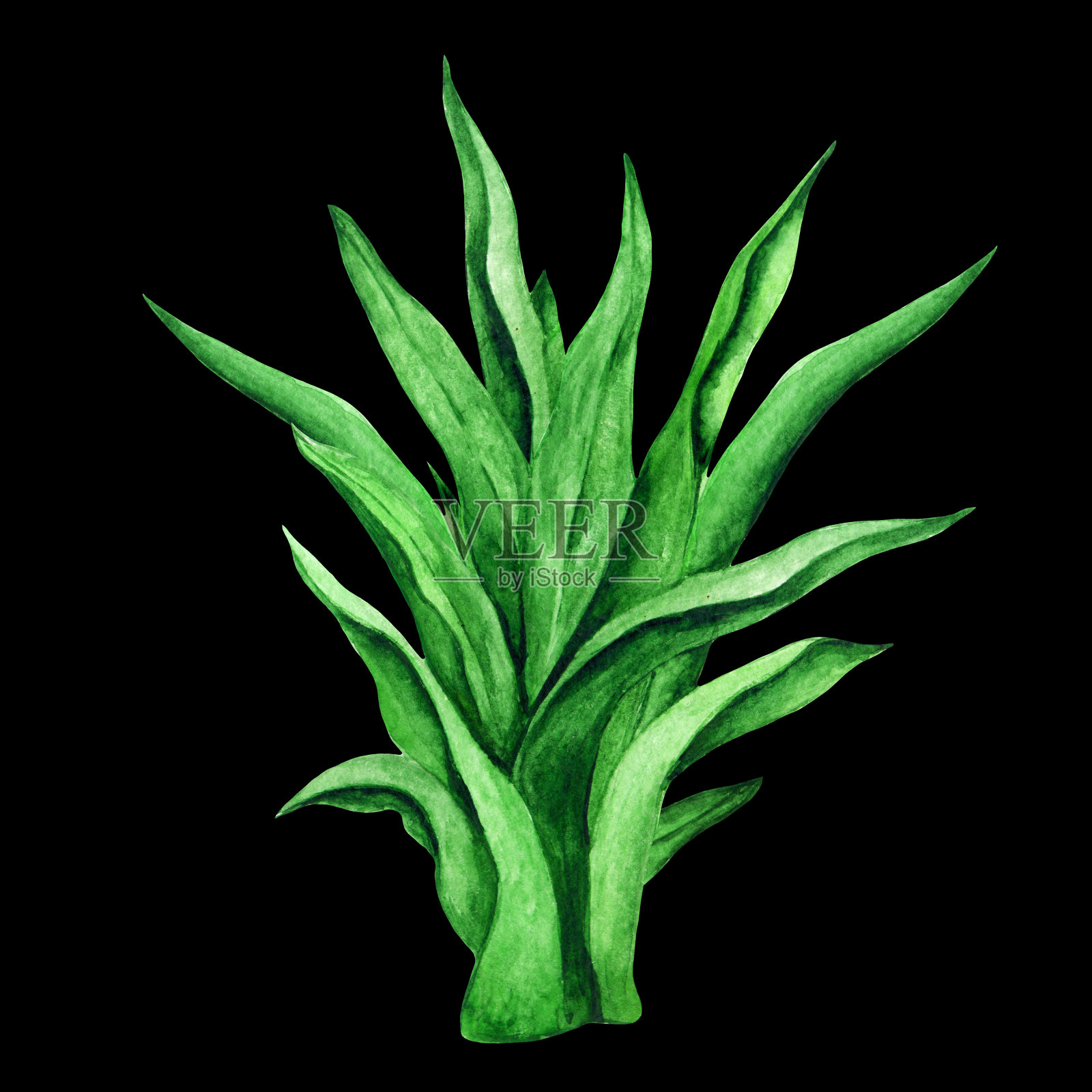 水彩绿色植物设计元素图片
