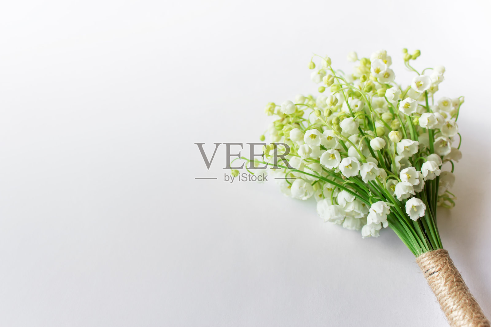 白色背景上的铃兰花束照片摄影图片