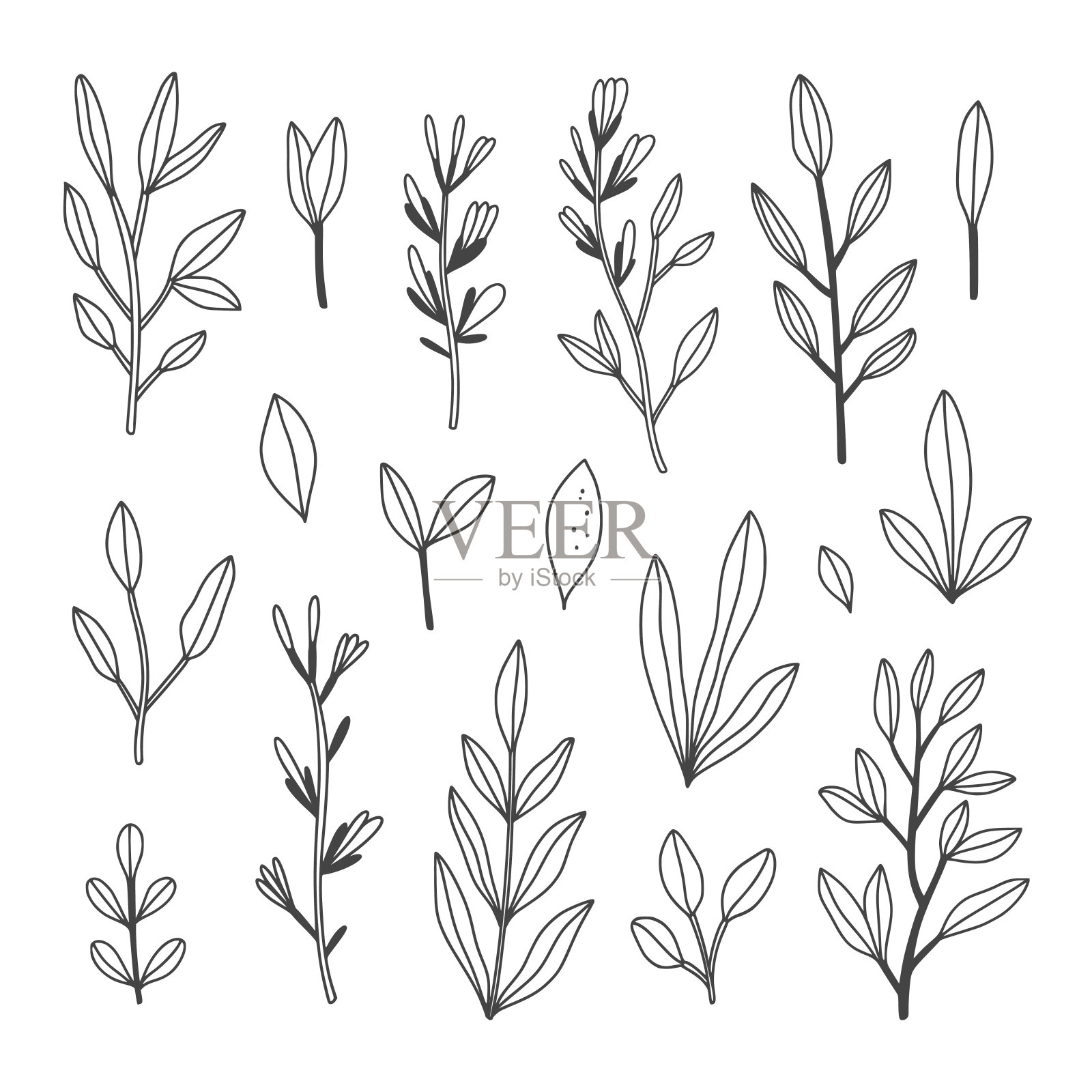 植物和叶子矢量剪贴画。手绘轮廓植物集孤立在白色背景插画图片素材