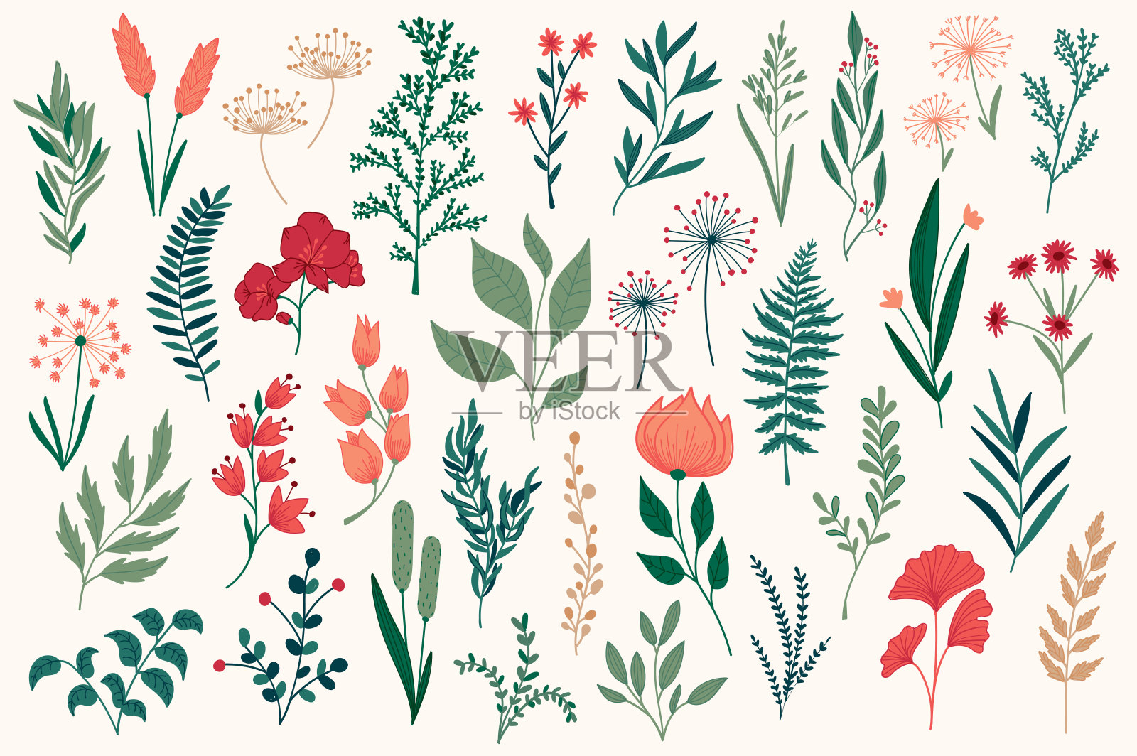 束彩色花卉装饰元素。植物物件，花卉图案包。叶、花、药草和树枝矢量插图。插画图片素材