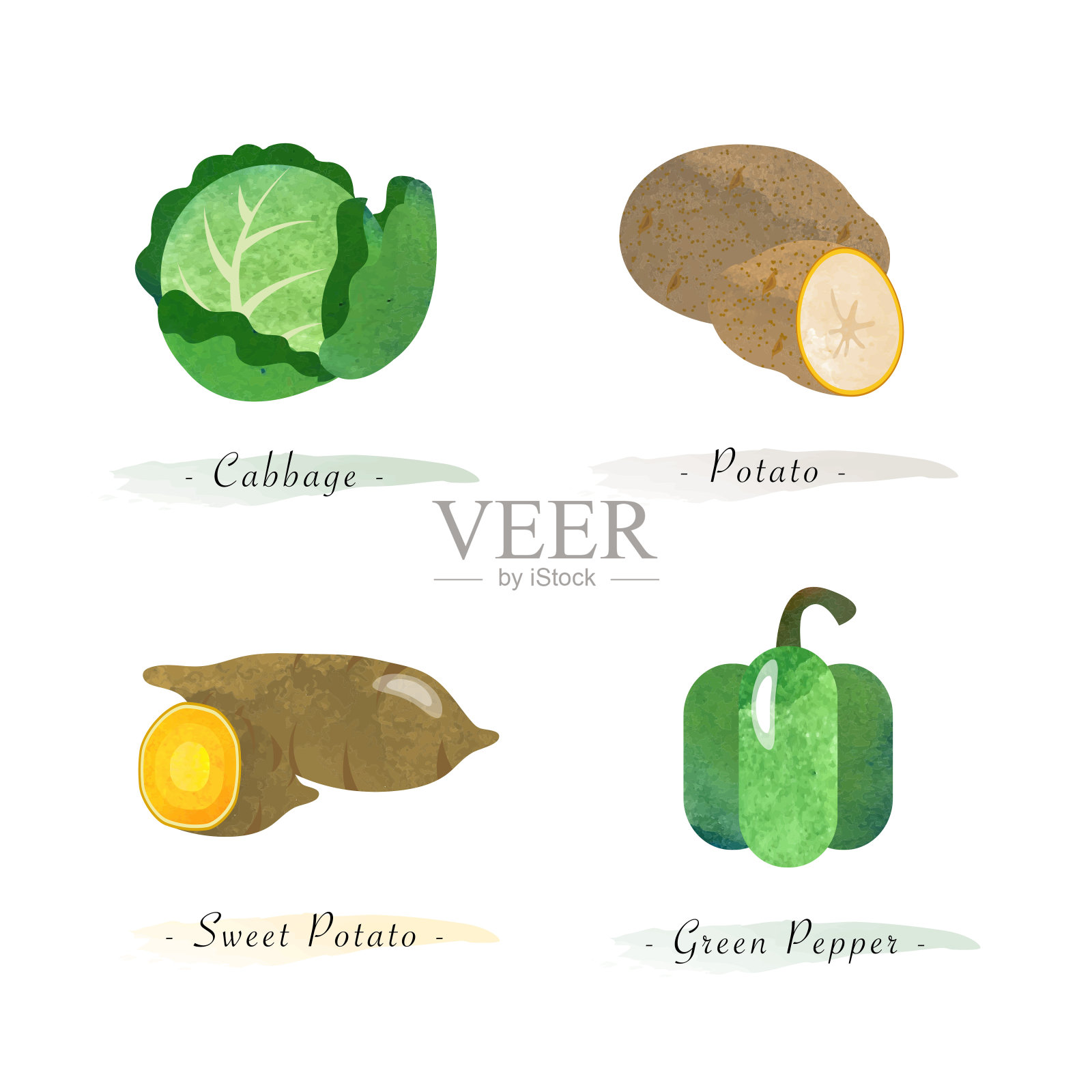 水彩健康天然有机植物蔬菜食品配料卷心菜、土豆、甘薯、青椒插画图片素材