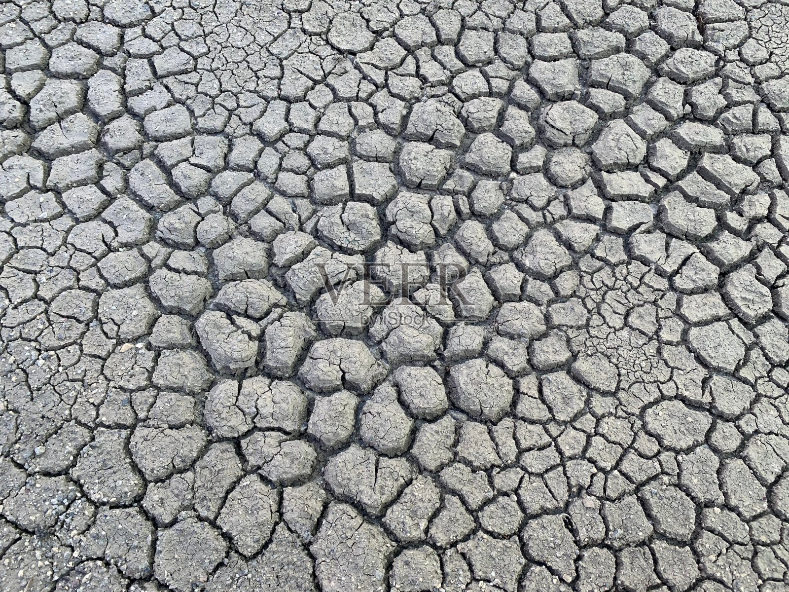 旧盐沼上干裂的土壤。干燥的灰色泥浆上有不寻常的图案。耐热土细胞的结构和颜色。干旱期间裂开的土地。没有生命的干燥土地纹理。全球变暖照片摄影图片