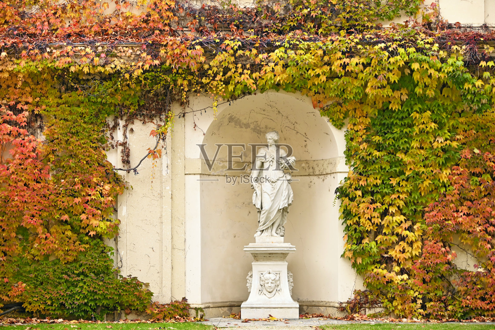 墙壁与藤蔓植物多彩的叶子和雕像在维也纳秋天的季节照片摄影图片