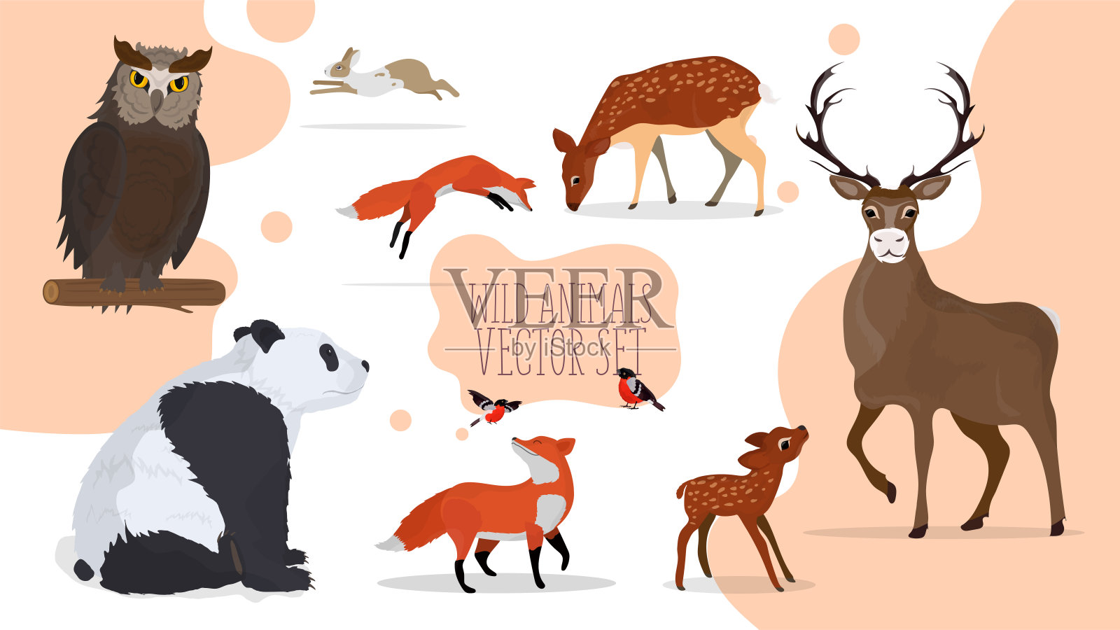 一群野生动物。猫头鹰，鹿，狐狸，熊猫，野兔。向量。插画图片素材