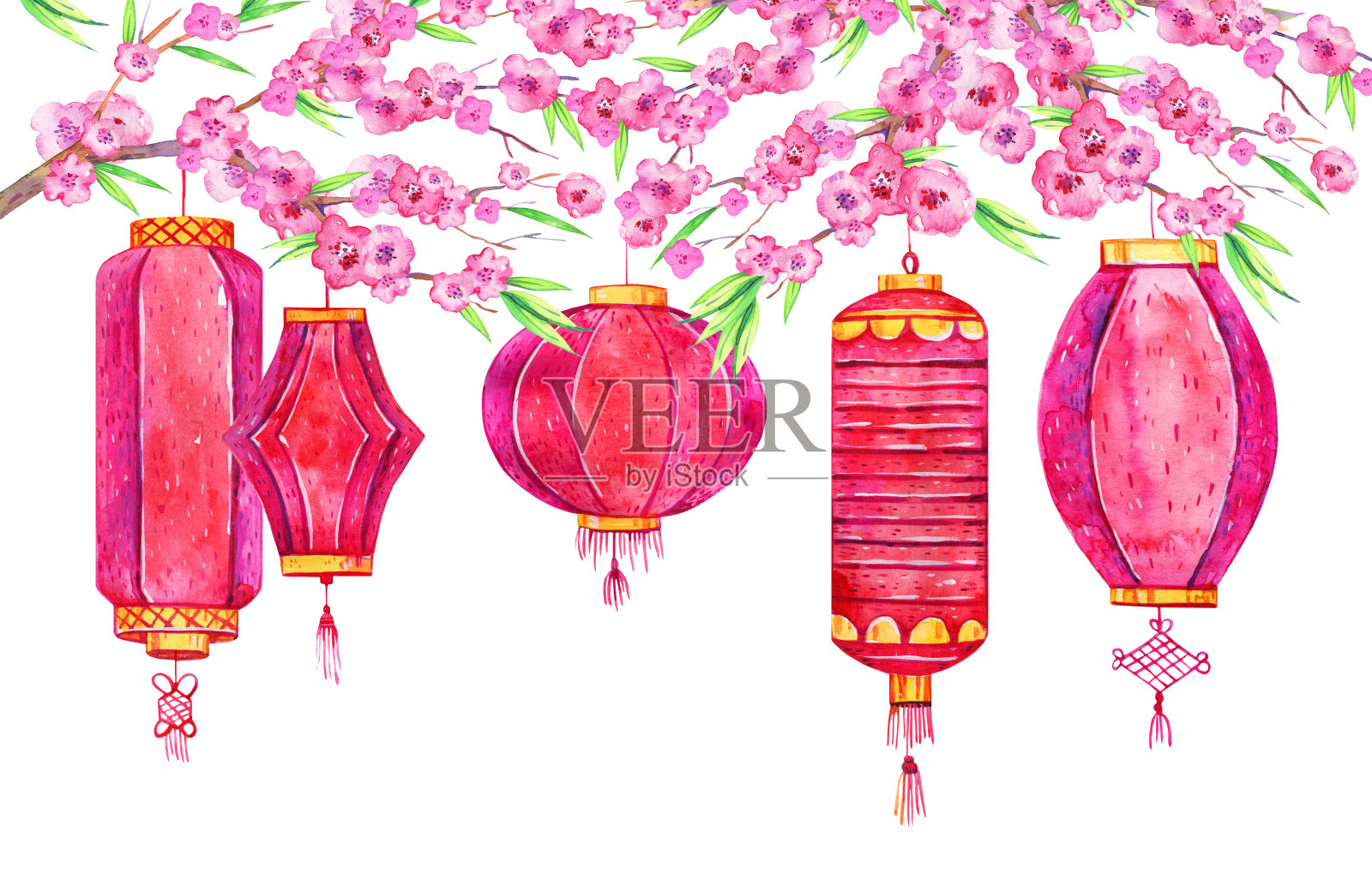 盛开的树枝上挂着不同的中国纸灯笼。手绘水彩素描插图插画图片素材