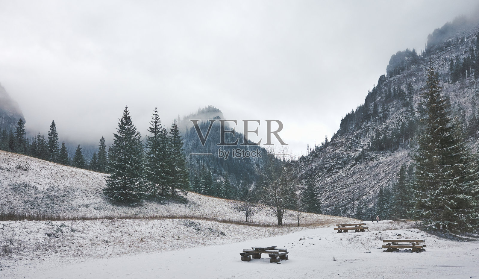波兰塔特拉国家公园，科斯切里斯卡山谷的冬季山地景观。照片摄影图片