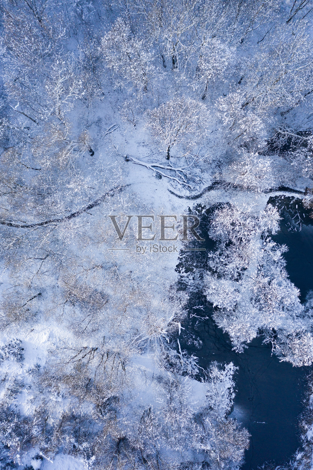 蓝色池塘在雪域森林，无人机视图照片摄影图片