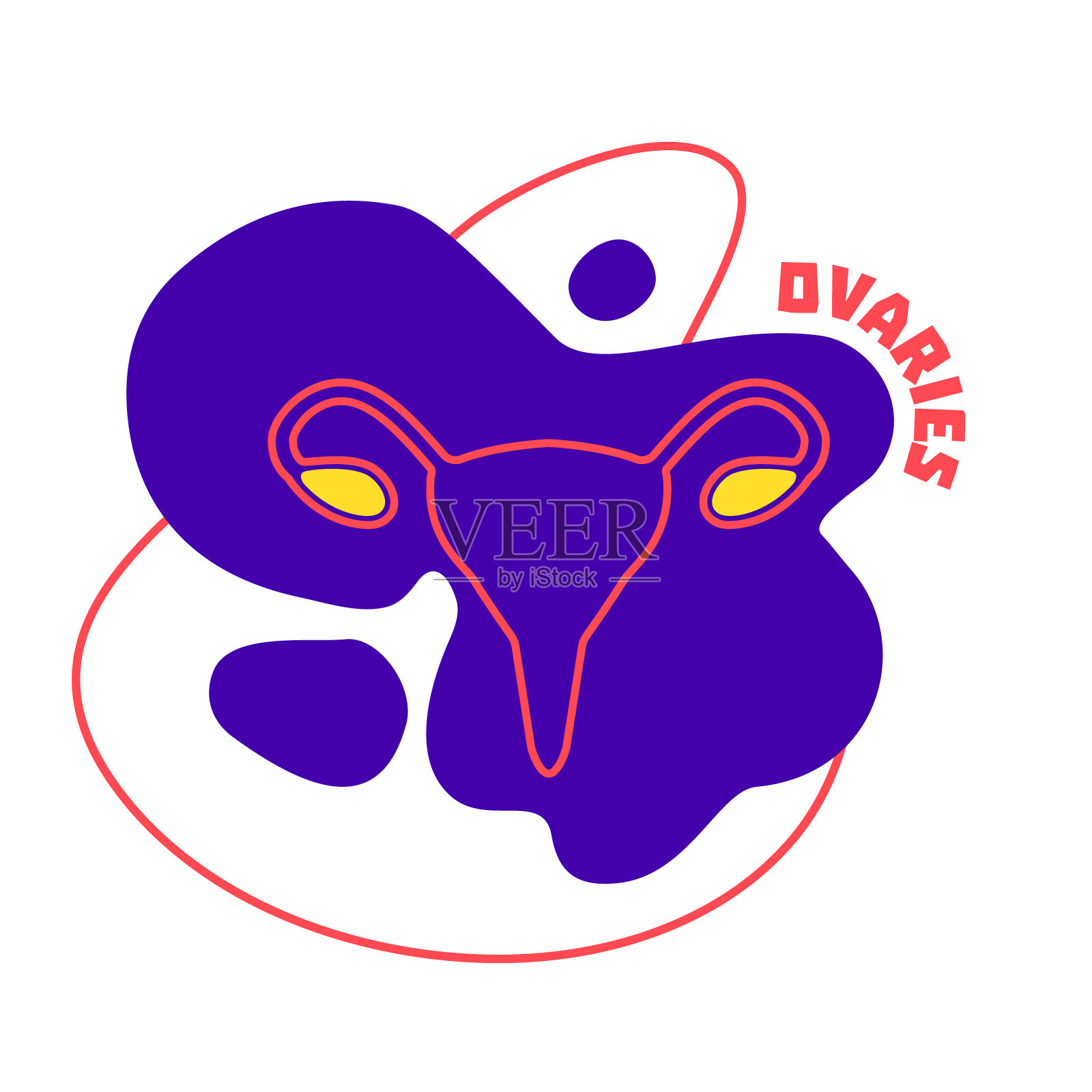 女性生殖解剖图图片素材-编号15527290-图行天下