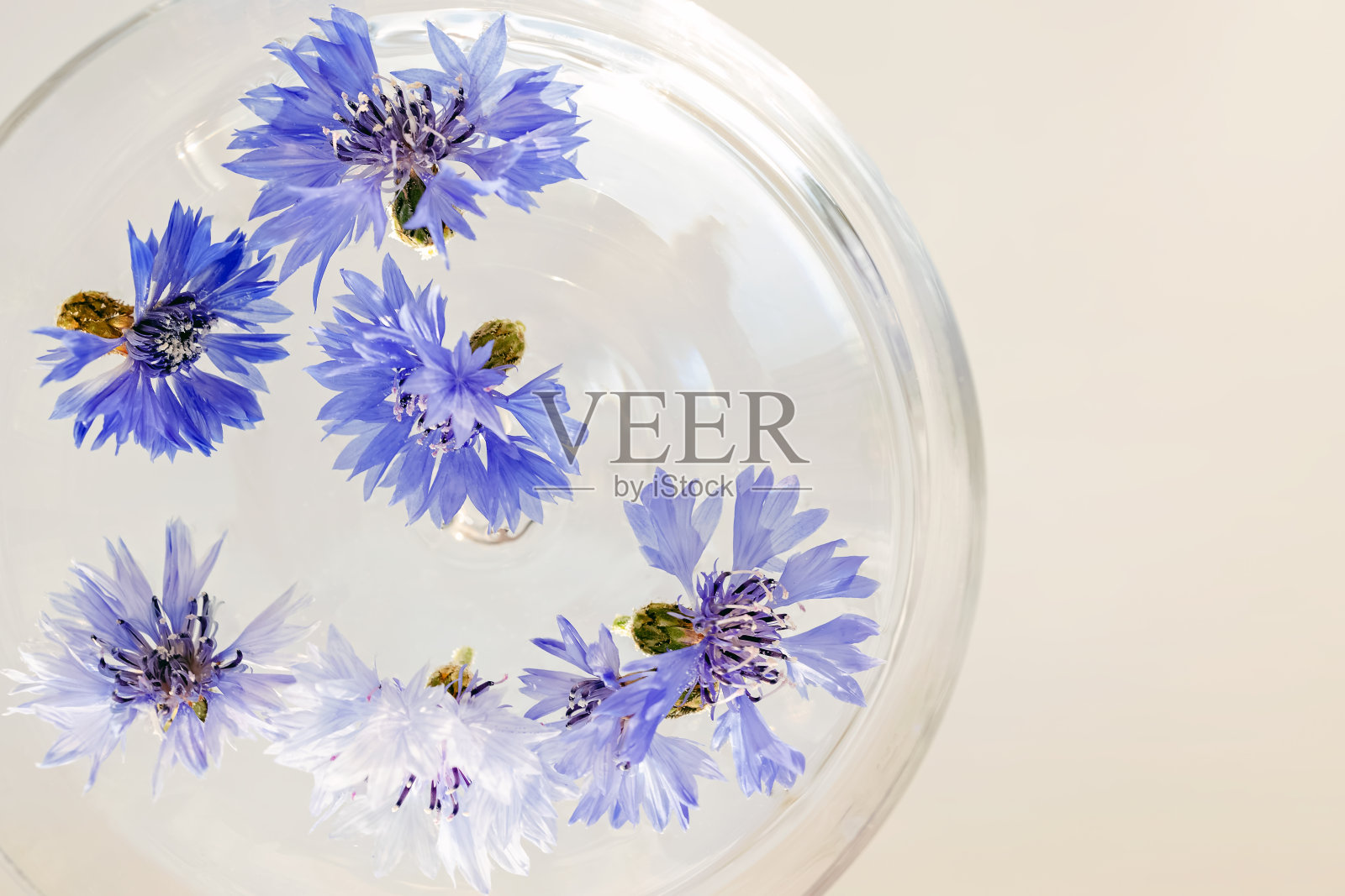 蓝色的花头放在一杯清水里照片摄影图片