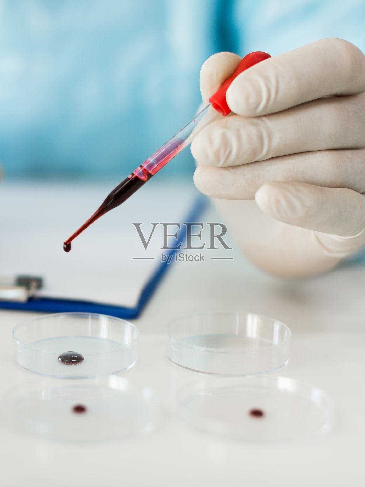 一个研究人员的手在实验室滴血液样本到培养皿的特写镜头。专注于滴药者。垂直图照片摄影图片