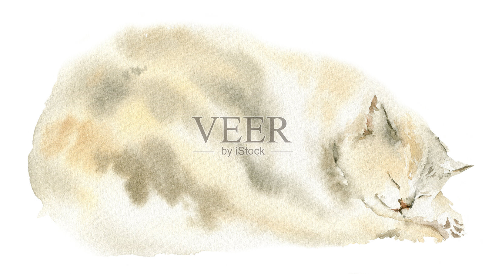 水彩画手画睡觉的猫，可爱的小猫素描，插图与宠物插画图片素材