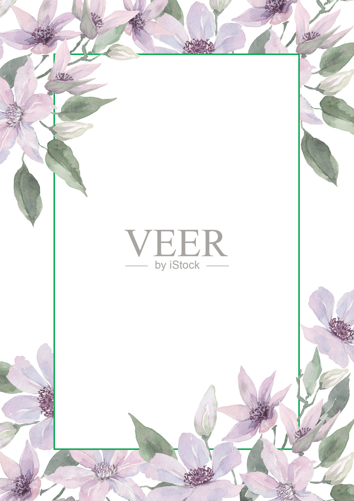 淡紫色的铁线莲花朵有着精致的花蕾和绿色的叶子，装饰着一个长方形的框架。白色背景上的水彩画。插画图片素材
