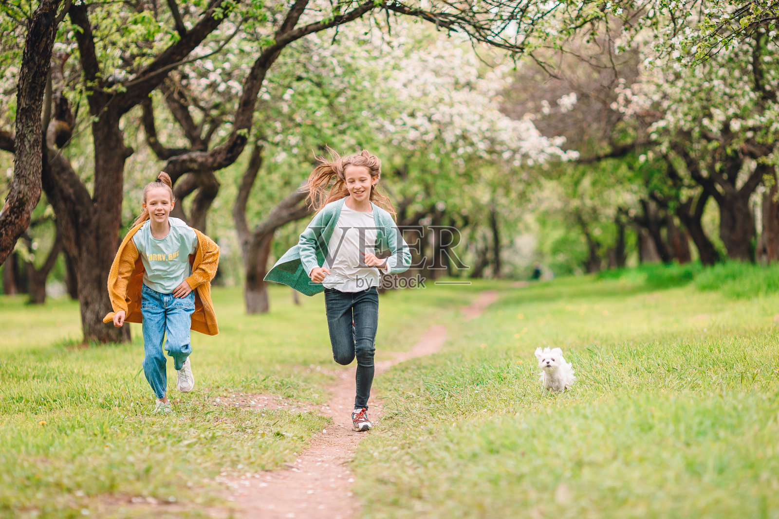 小女孩微笑着和小狗在公园里玩耍照片摄影图片
