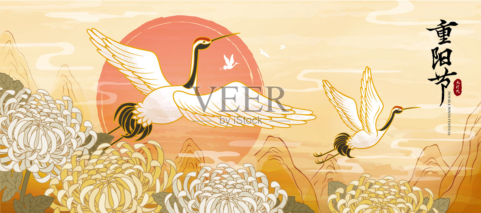 重阳节飞舞丹顶鹤与菊花横幅插画图片素材