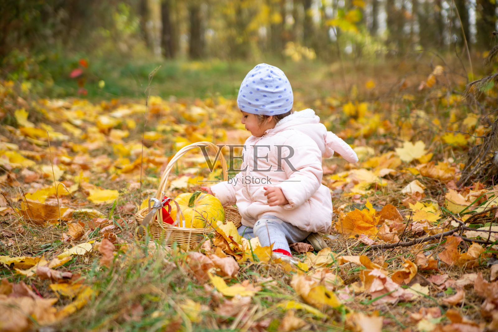 穿着夹克的可爱的小婴儿坐在秋天的落叶林中。孩子在篮子里玩南瓜。概念金秋与万圣节庆祝照片摄影图片