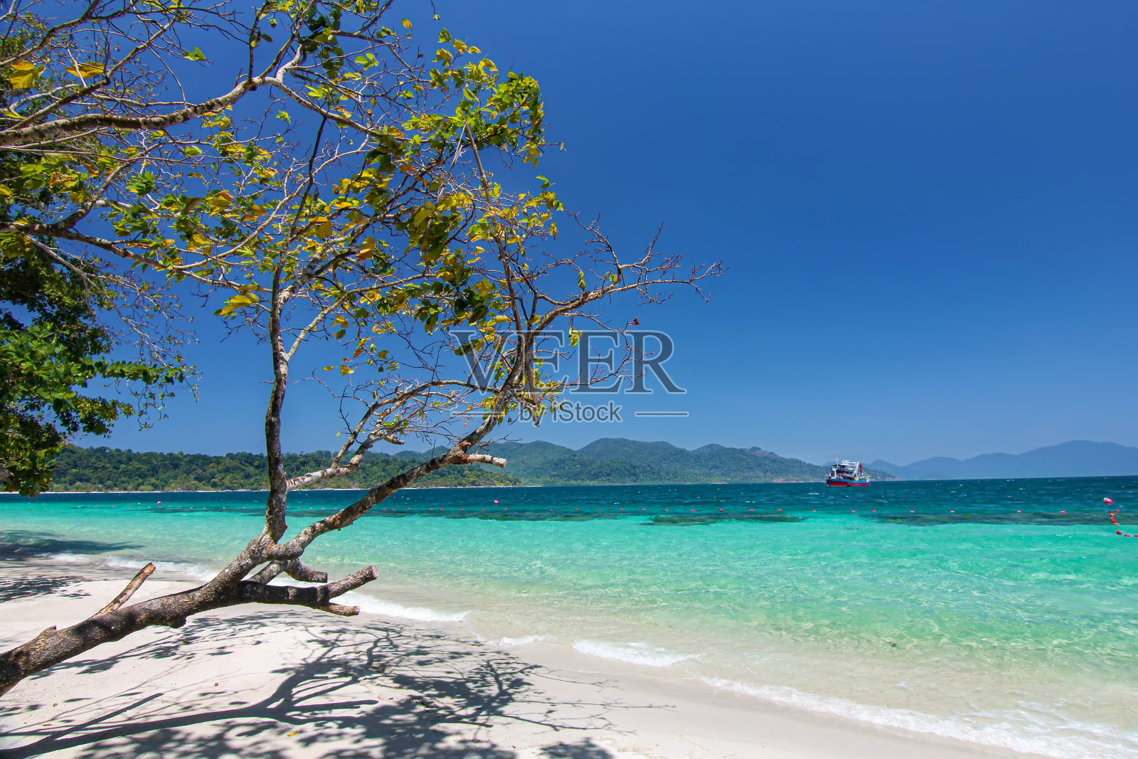 美丽的泰国旅游岛“Koh Lipe”白色沙滩与新鲜的树木和绿松石海水与和平清澈的蓝天景观背景照片摄影图片