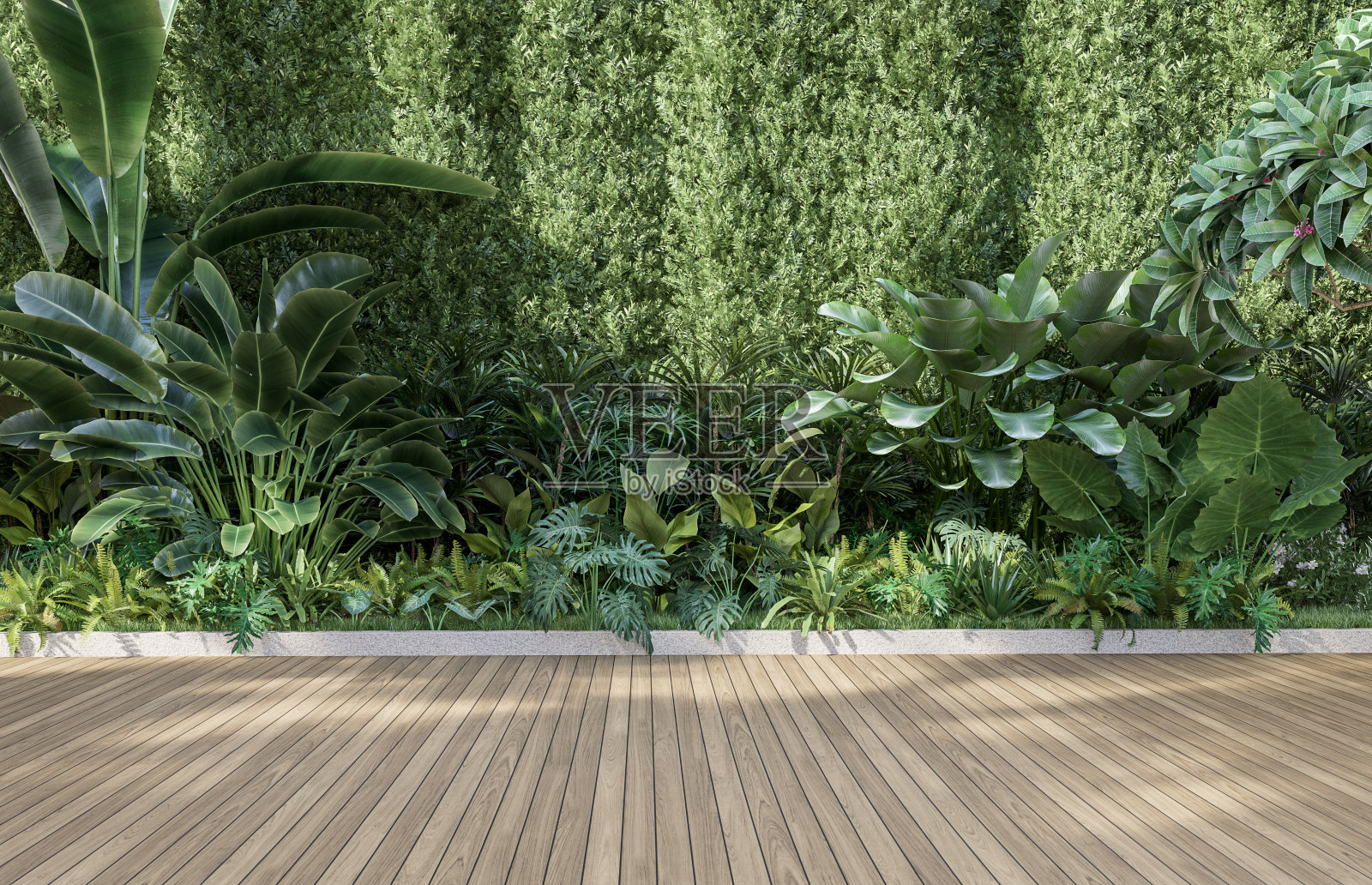 空的木制露台与绿色墙壁3d渲染照片摄影图片