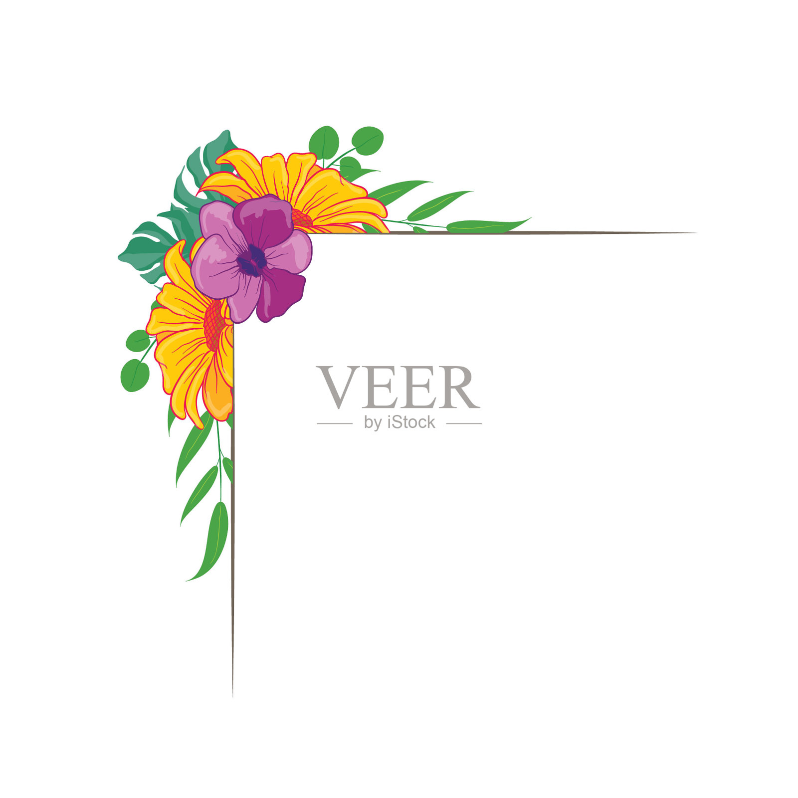 美丽的矢量花叶安排设置图形优雅的花和叶在彩色插图。可以用于你的婚礼或任何邀请模板吗设计元素图片