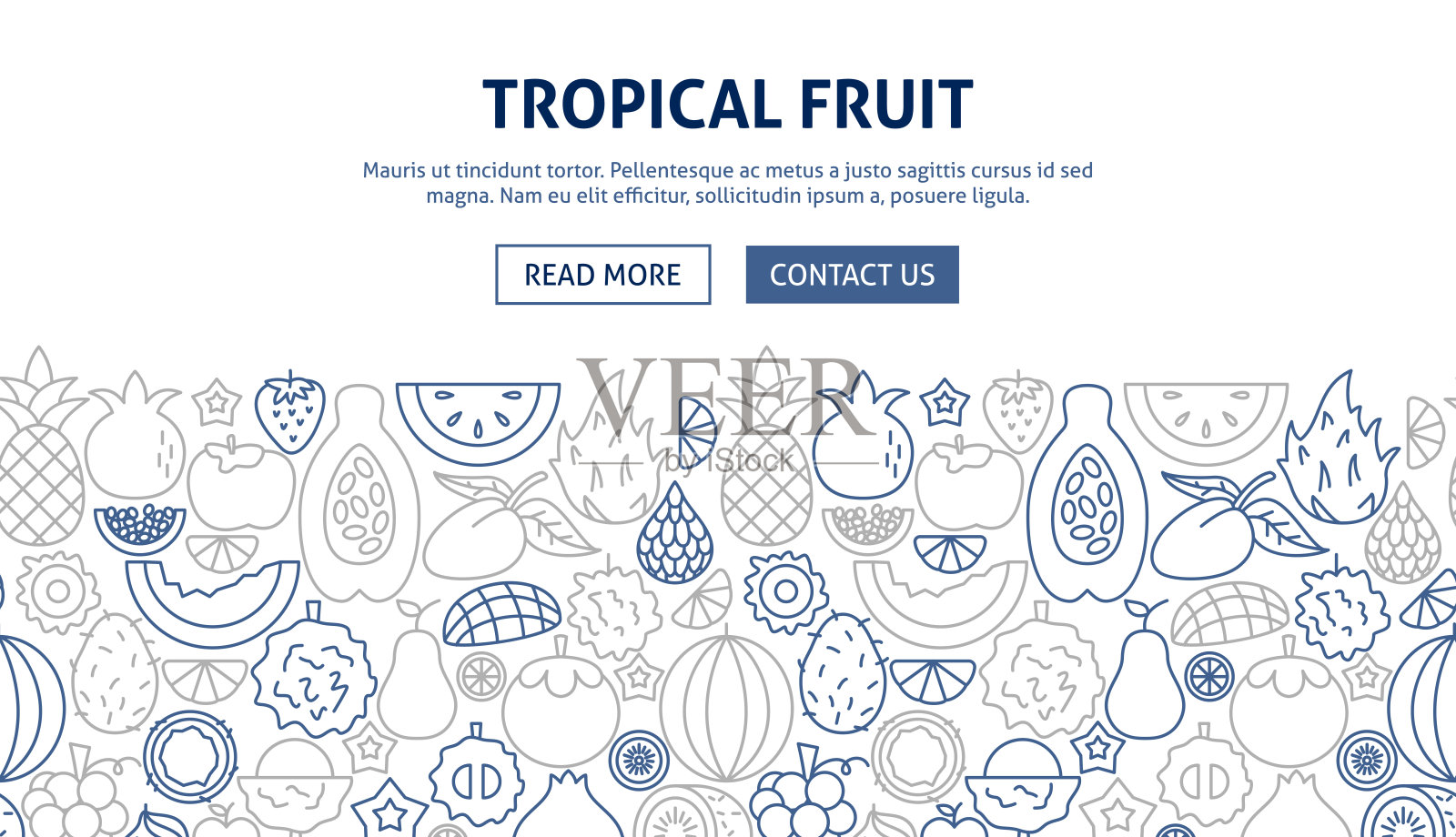 热带水果横幅设计插画图片素材