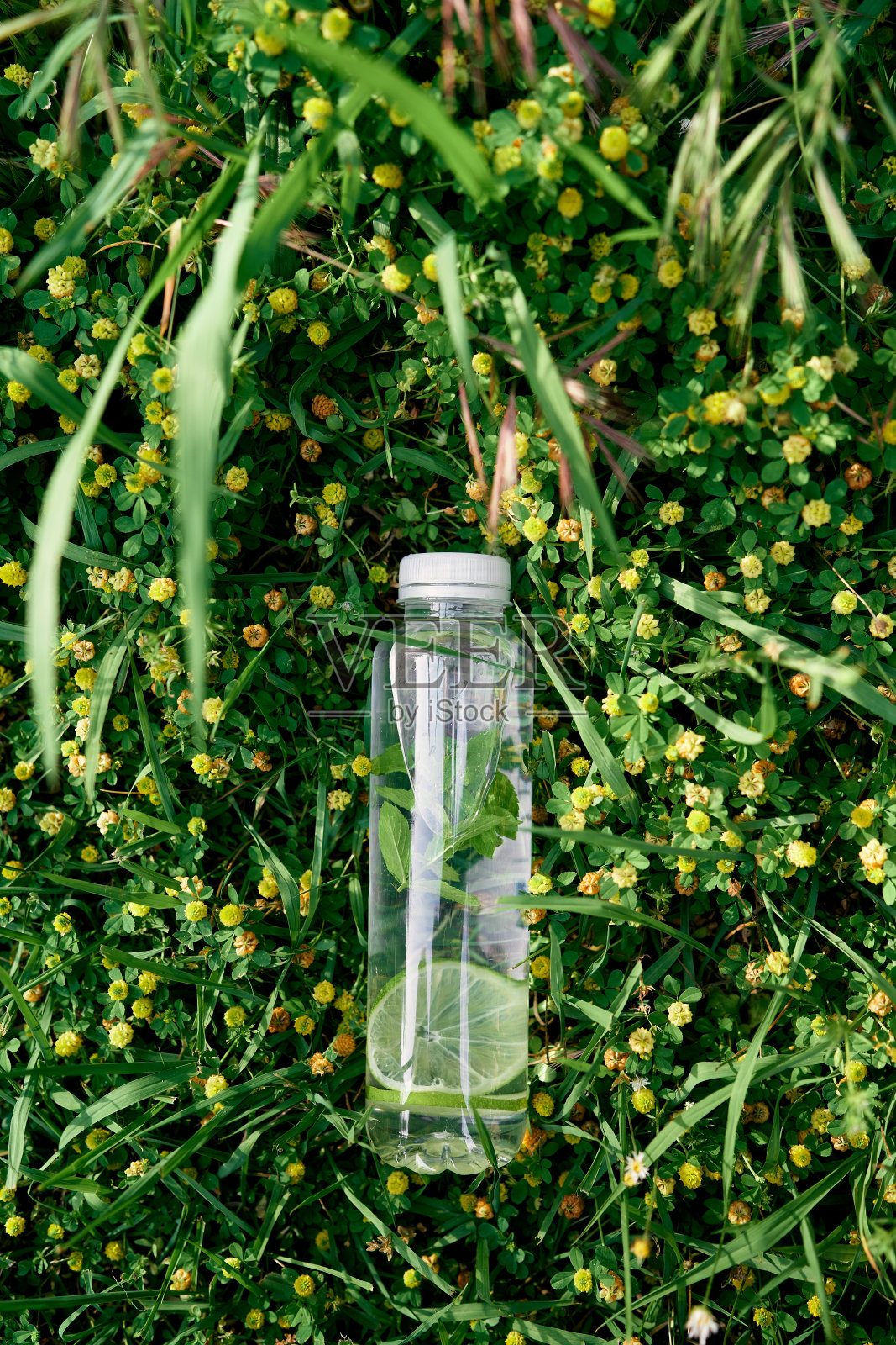 一瓶水躺在黄色野花中间的绿色高草上照片摄影图片