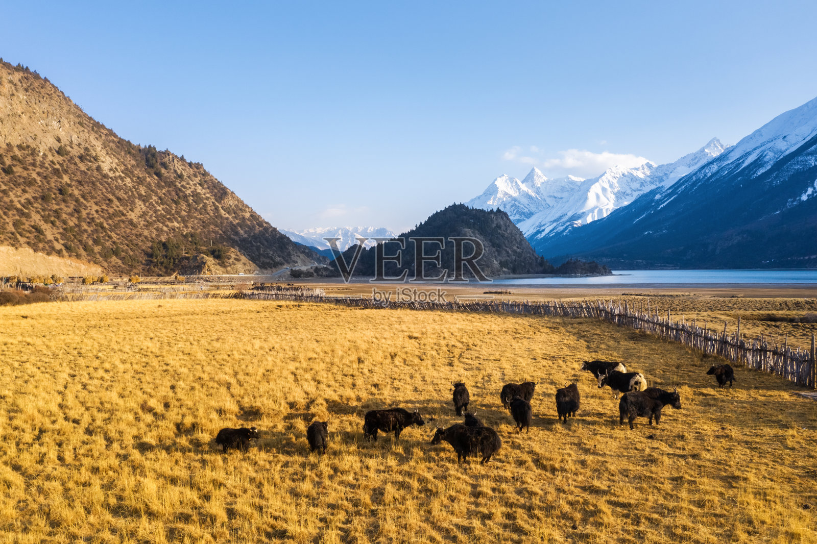 西藏冉武湖畔的田园风光照片摄影图片