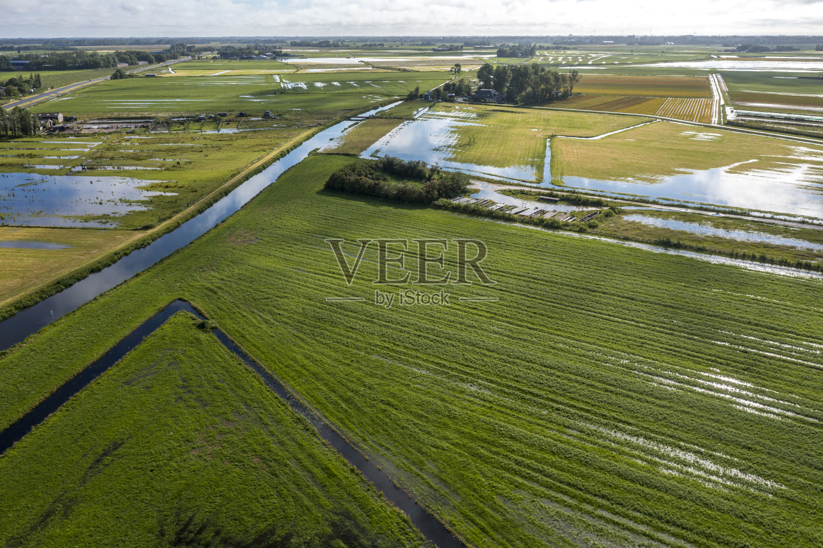 荷兰湿地的航拍镜头照片摄影图片