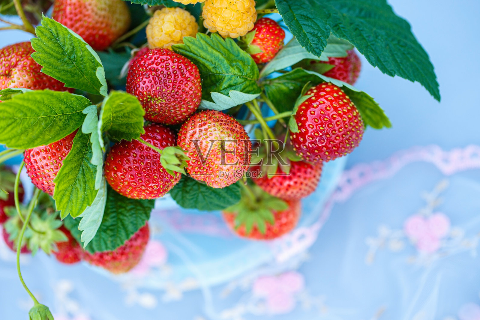 蓝色杯子里装着带叶子的草莓。夏天浆果甜的静物特写照片摄影图片