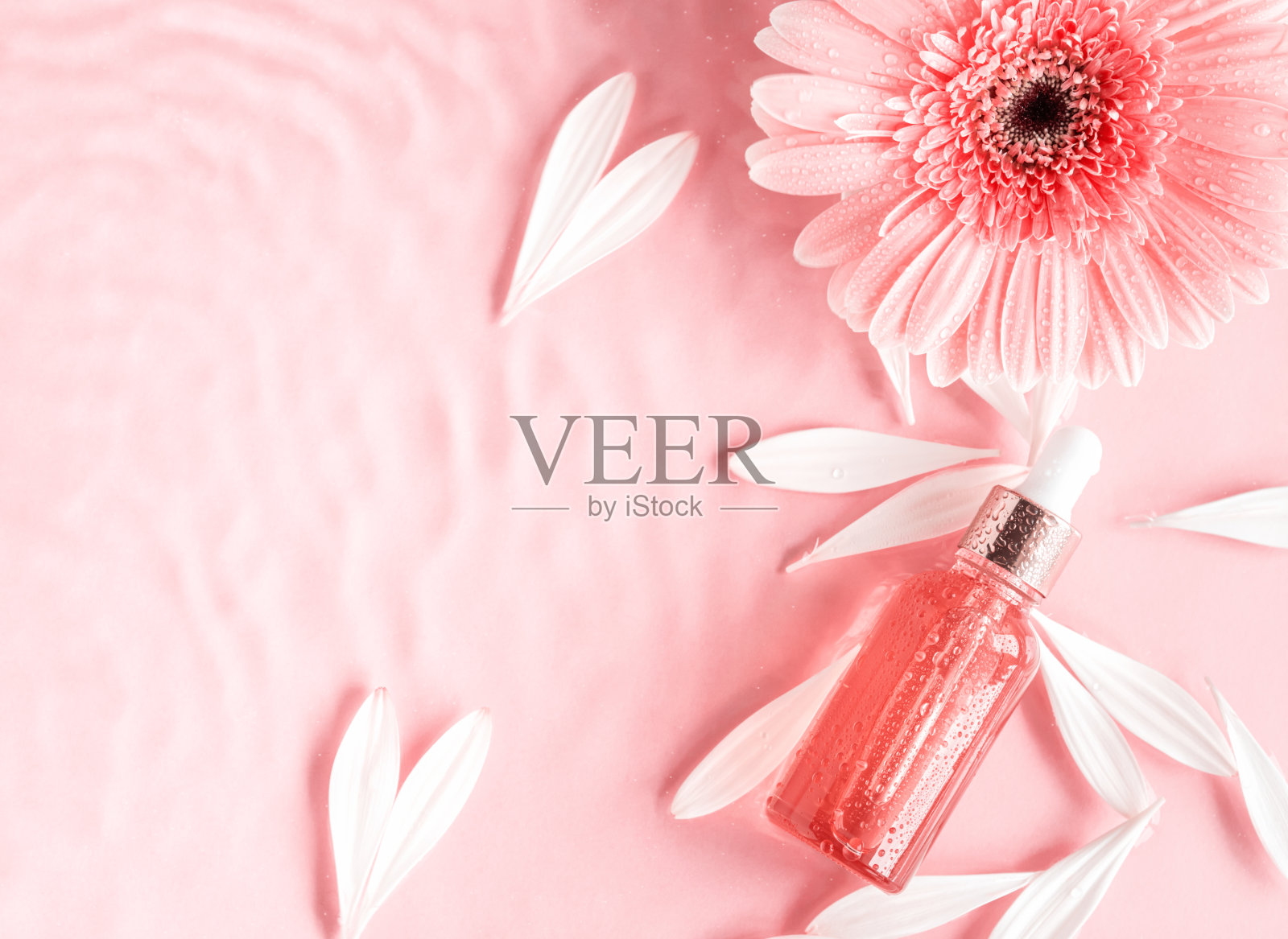 化妆品美容精华油酸瓶产品在粉红色背景水中与粉红色雏菊照片摄影图片