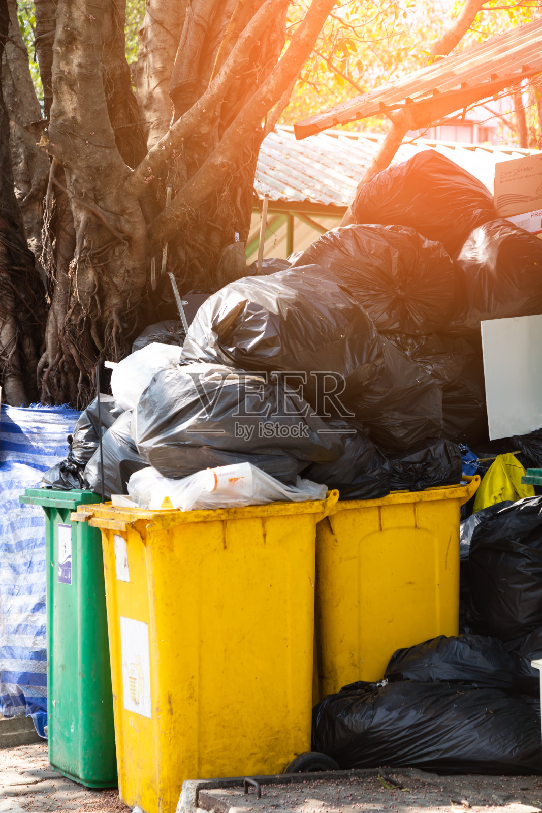 黄色的垃圾，黑色的袋子里装满了扔到户外的垃圾。照片摄影图片
