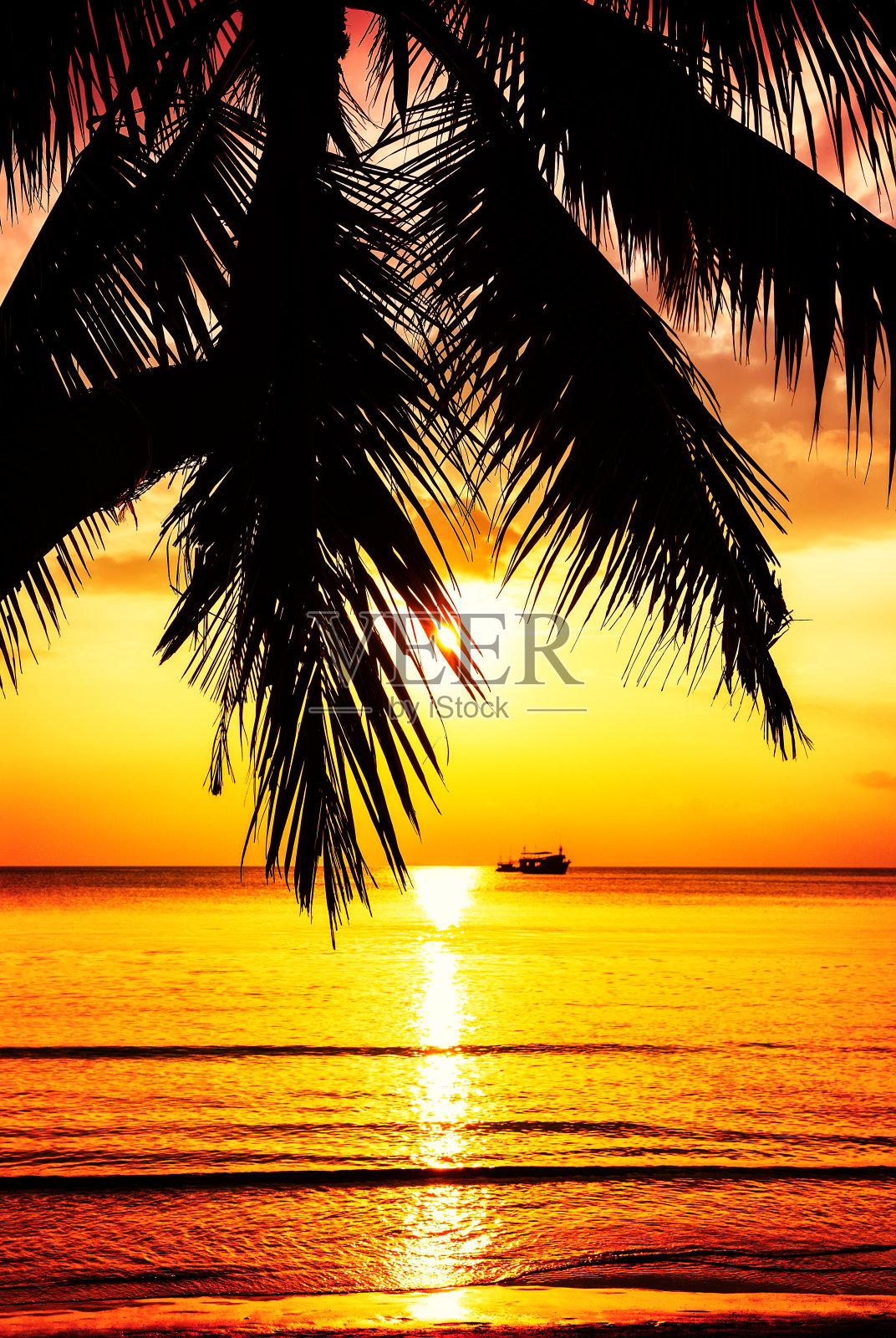 在泰国普吉岛的沙滩上，椰子树在五彩缤纷的落日映衬下。照片摄影图片