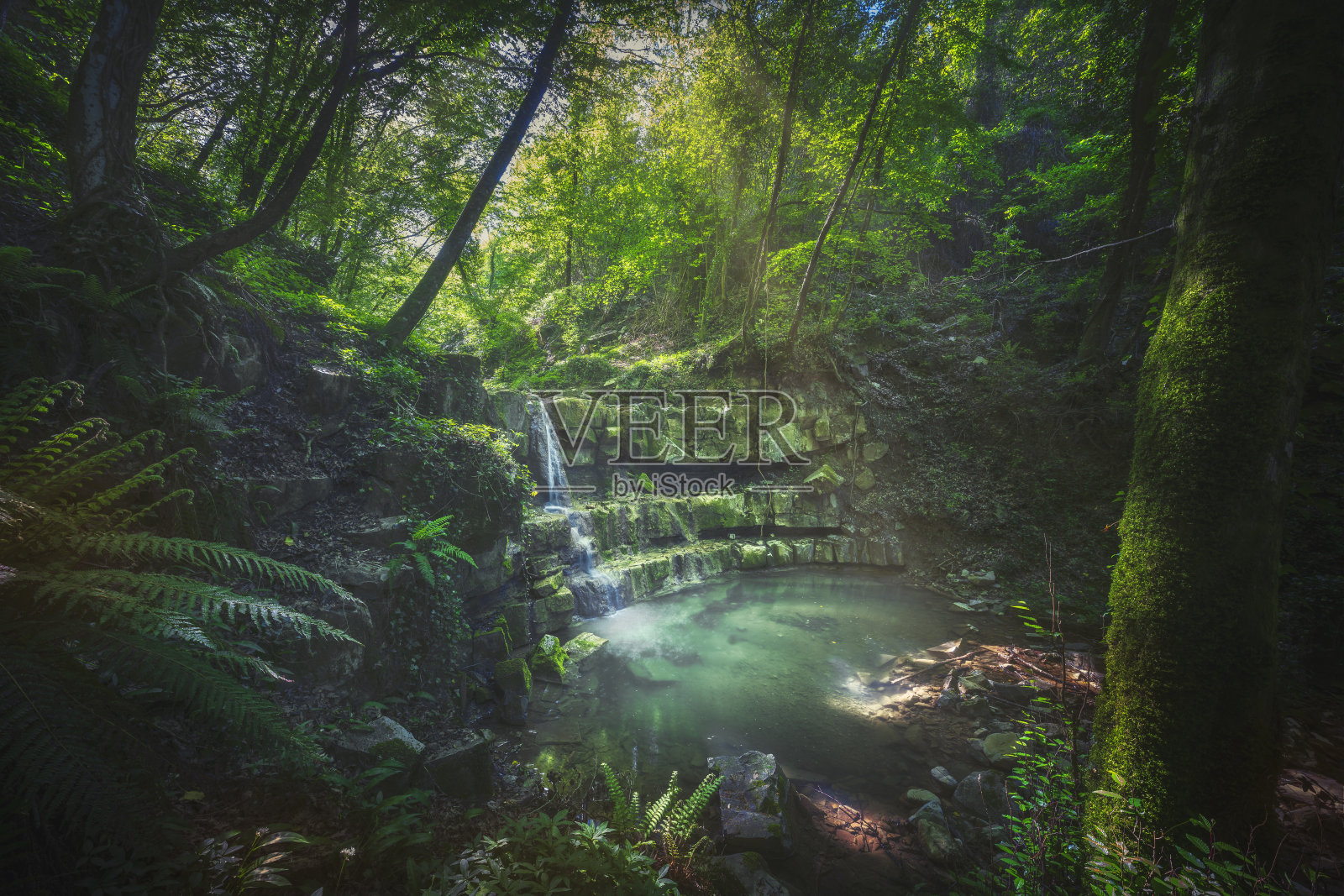 森林里的小溪瀑布。Chianni,托斯卡纳,意大利。照片摄影图片