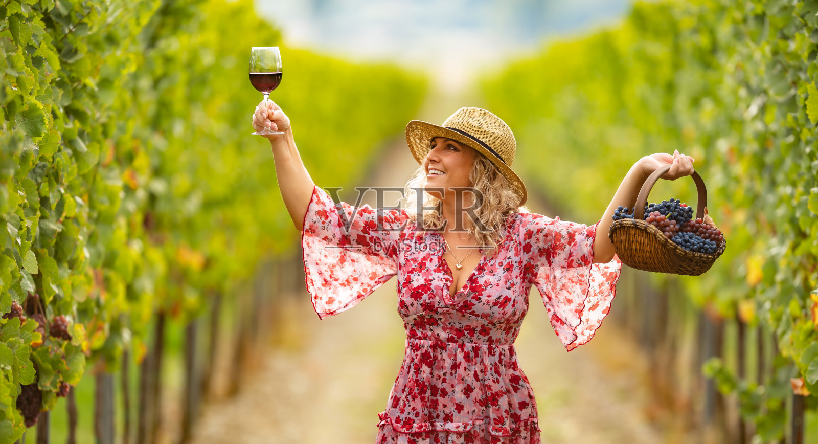 酿酒师穿着漂亮的衣服庆祝成功的丰收，并拥有优质产量的美味葡萄酒。照片摄影图片