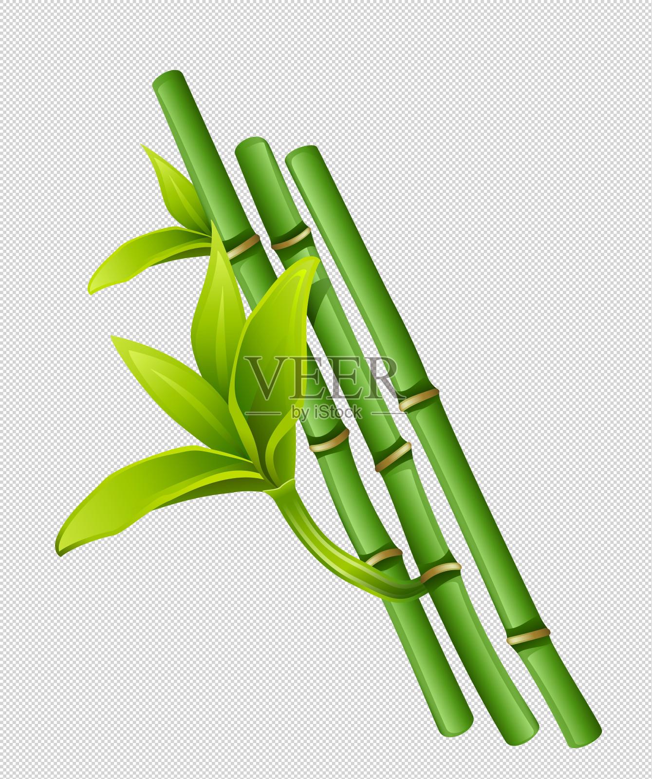 新鲜的竹叶竹子组合设计元素图片