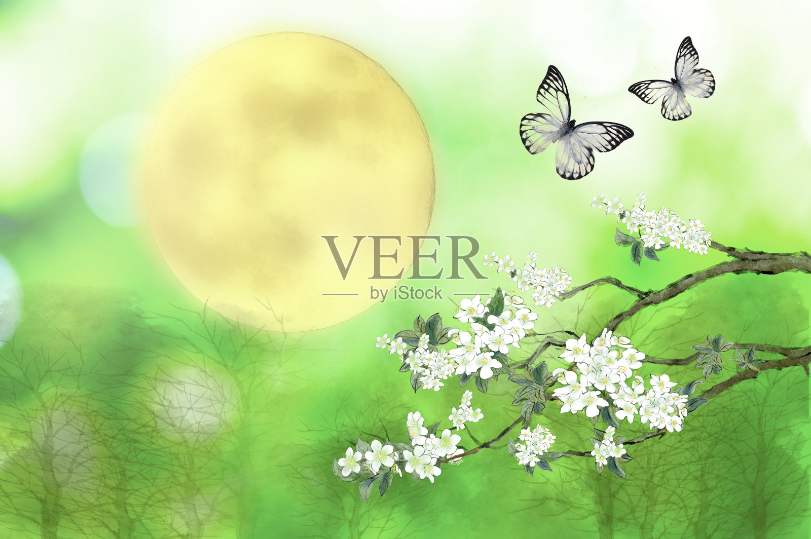 中秋佳节一轮明月和美丽的桂花及成双成对的蝴蝶翩翩飞舞插画图片素材