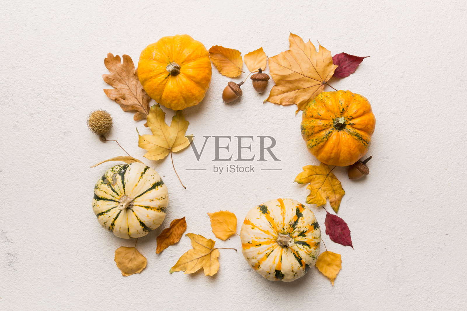 秋天的作品南瓜与秋天的叶子在彩色的背景。带有拷贝空间的俯视图照片摄影图片