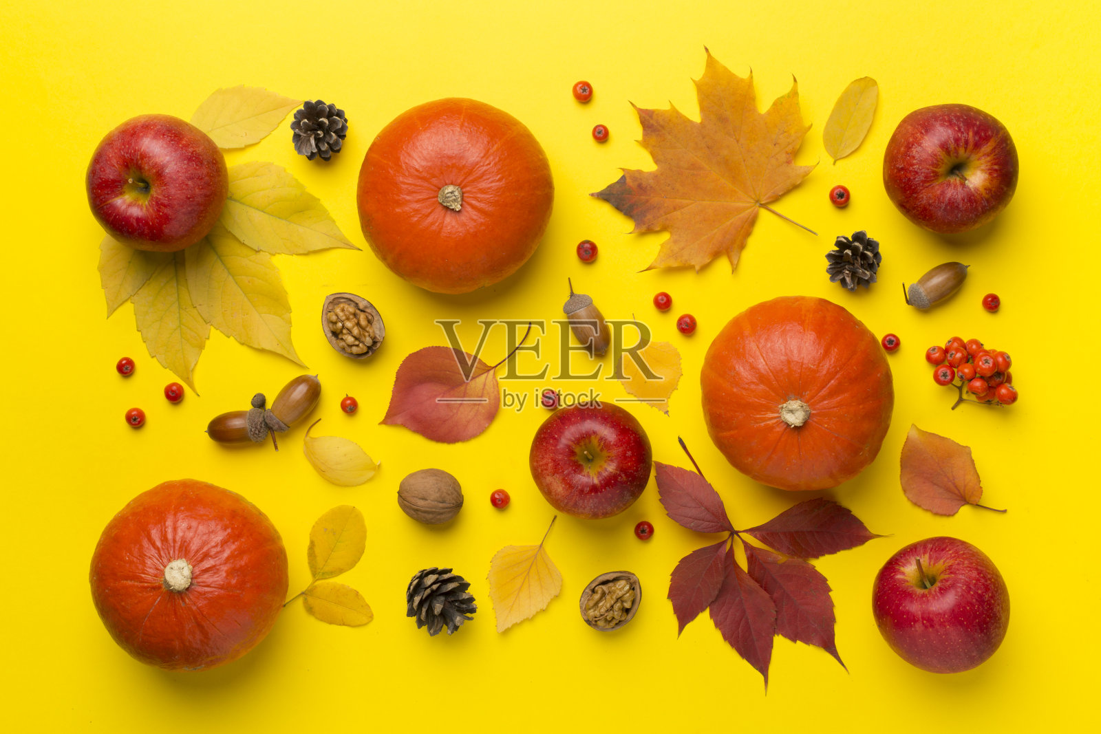 节日的秋天平躺与南瓜，浆果和树叶的颜色背景，俯视图照片摄影图片
