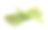 新鲜成熟的芦笋，白底素材图片