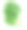 白色背景的菠菜叶子素材图片