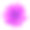 紫菊花素材图片