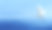 蓝色天空上的热带鹤素材图片